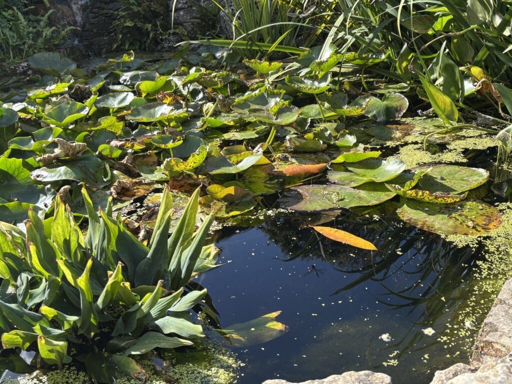 Emmetts Gardens
