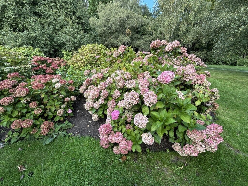 Emmetts Gardens