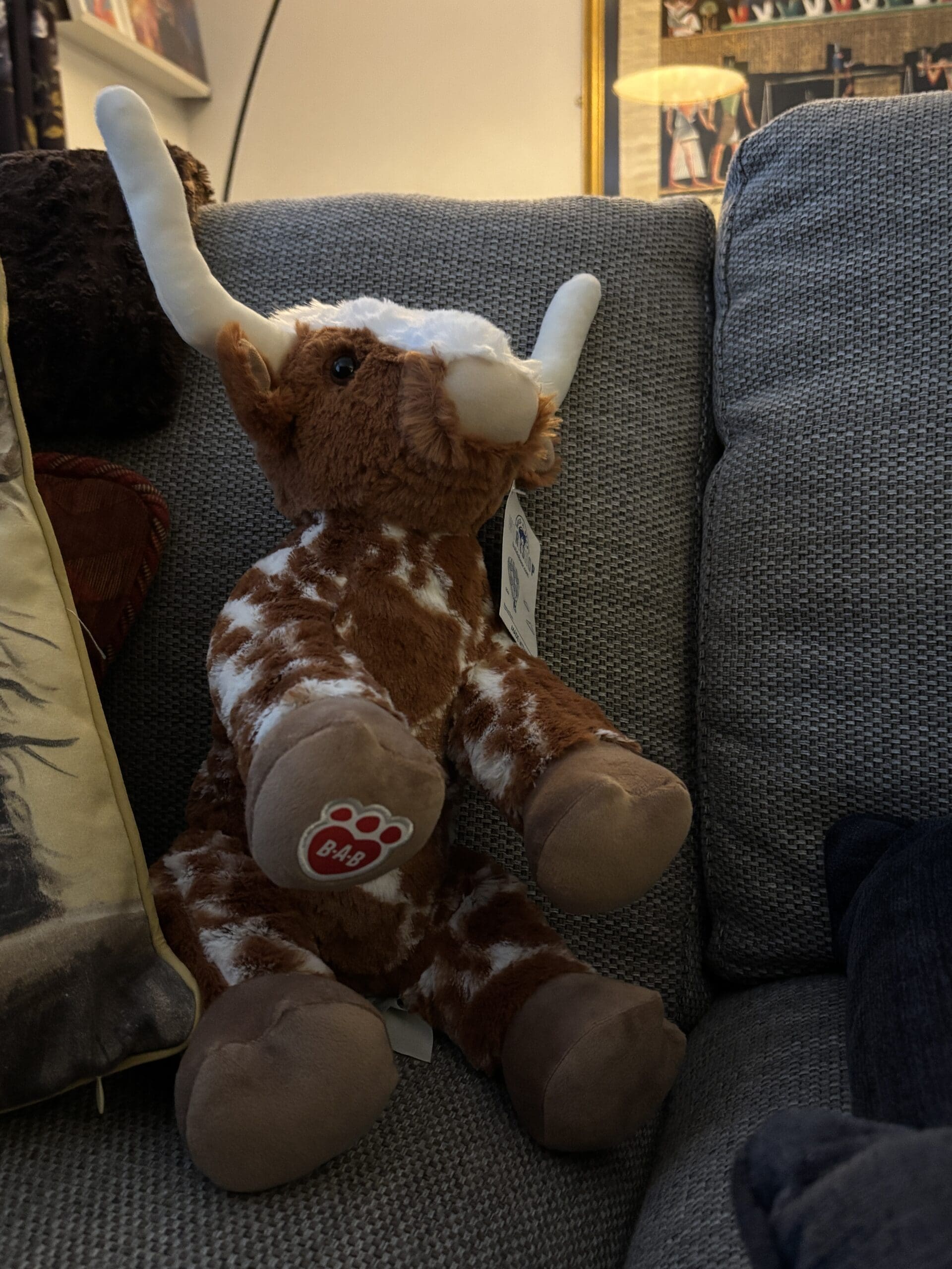 Jeff on the Sofa