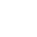 Tails Of The Lake